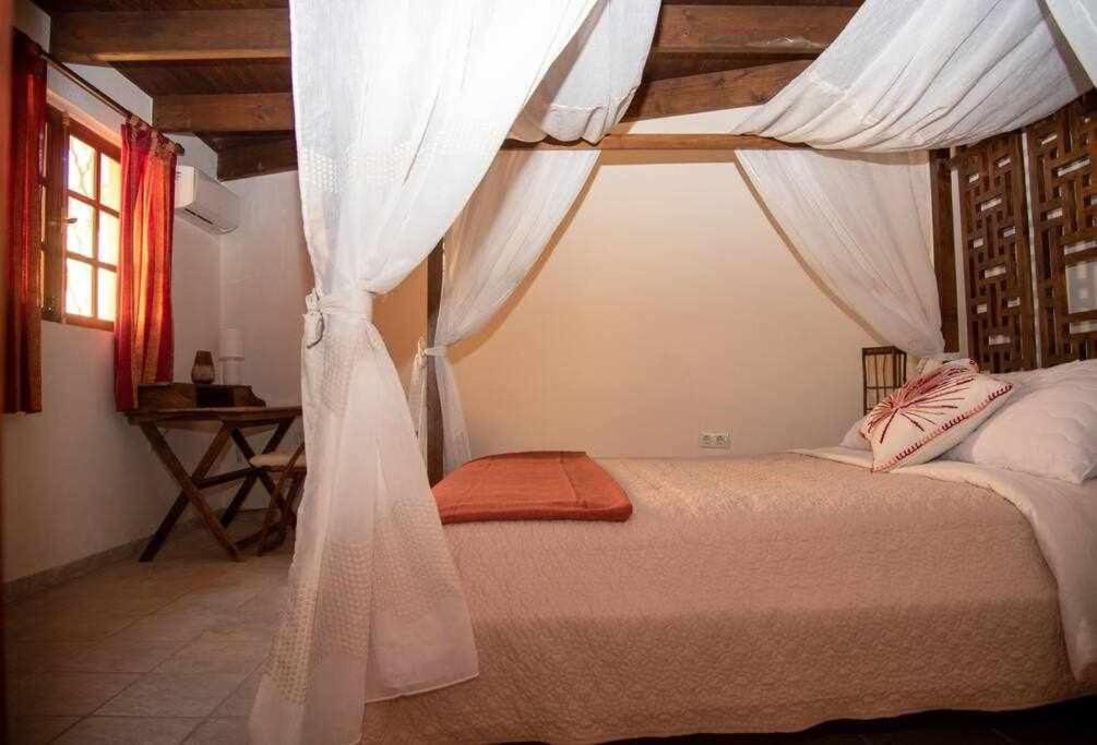 Aurora Mari Villa Your Dream Steps From The Ocean Shore Caleta De Fuste Exteriör bild